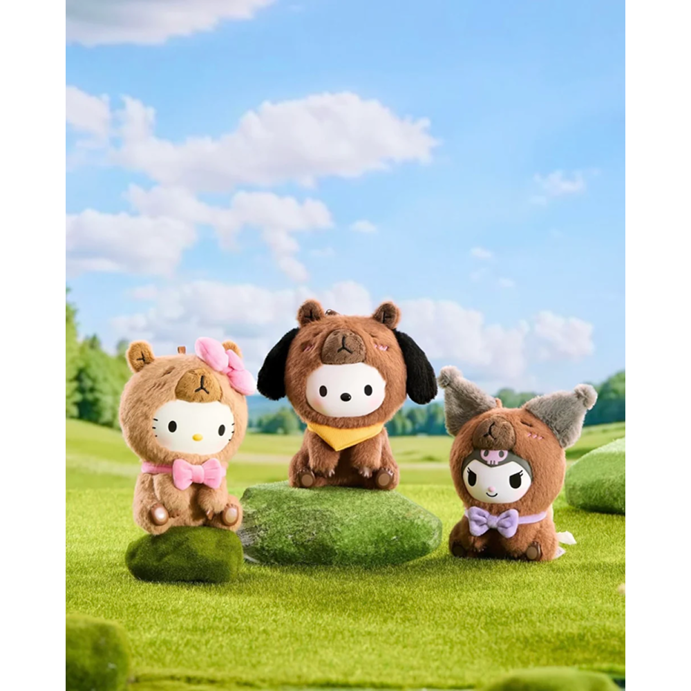 SANRIO CHARACTERS CHILL CAPYBARA MINISO BLIND BOX
