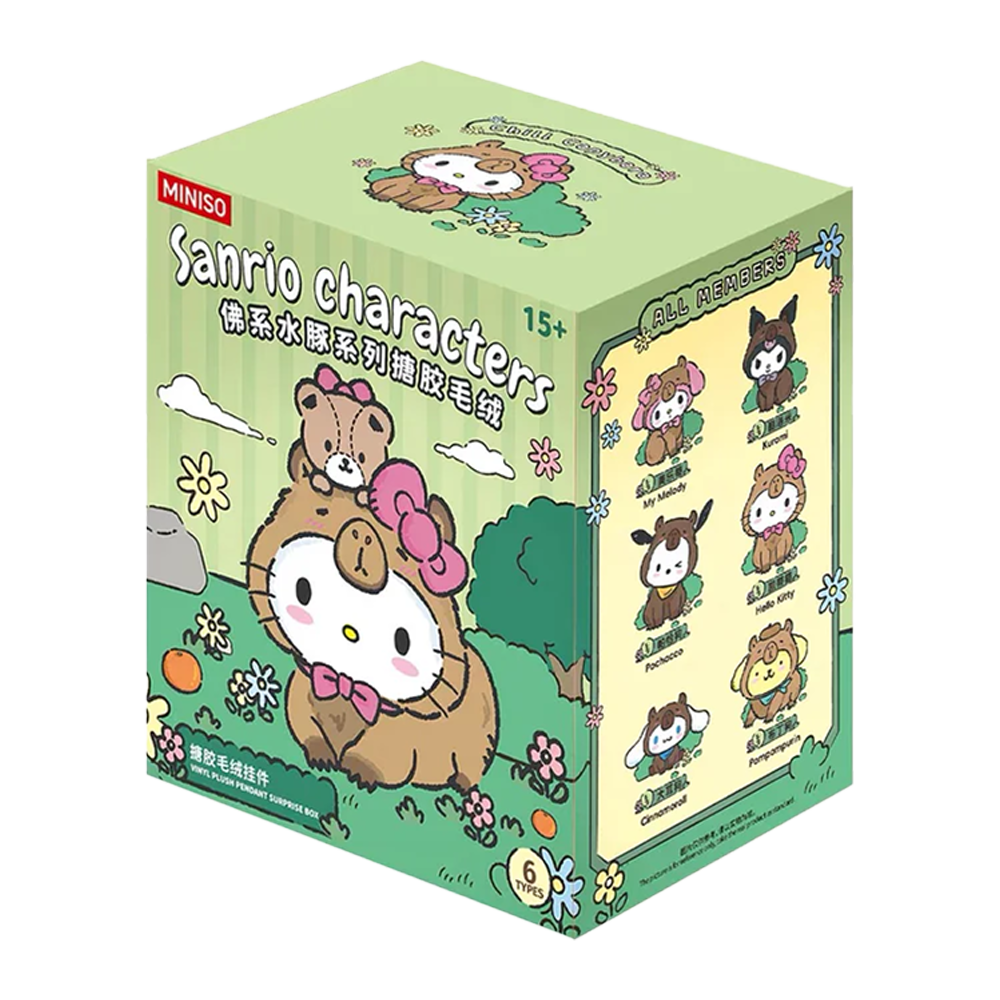 SANRIO CHARACTERS CHILL CAPYBARA MINISO BLIND BOX