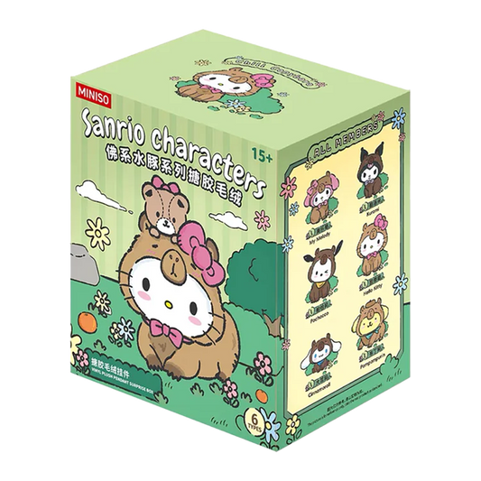 SANRIO CHARACTERS CHILL CAPYBARA MINISO BLIND BOX